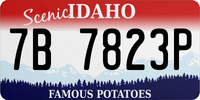 ID license plate 7B7823P