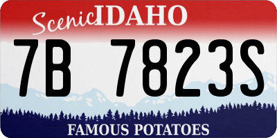 ID license plate 7B7823S