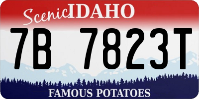 ID license plate 7B7823T