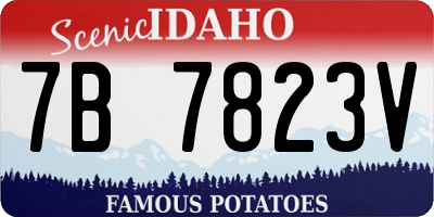 ID license plate 7B7823V