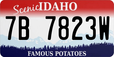ID license plate 7B7823W