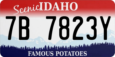 ID license plate 7B7823Y