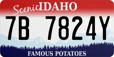 ID license plate 7B7824Y