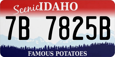 ID license plate 7B7825B
