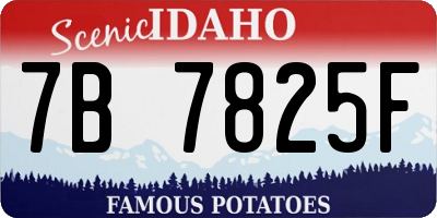 ID license plate 7B7825F