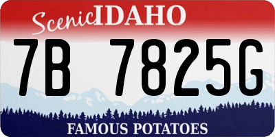ID license plate 7B7825G
