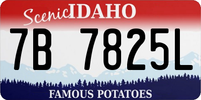 ID license plate 7B7825L