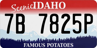 ID license plate 7B7825P