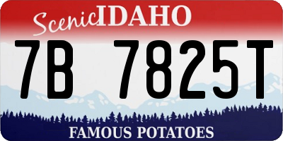 ID license plate 7B7825T