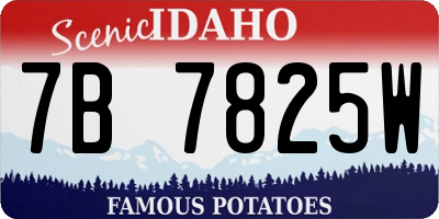 ID license plate 7B7825W