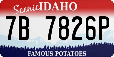 ID license plate 7B7826P