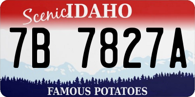 ID license plate 7B7827A