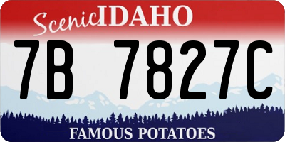 ID license plate 7B7827C