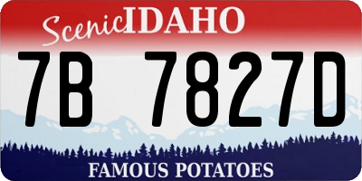 ID license plate 7B7827D