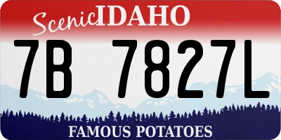 ID license plate 7B7827L