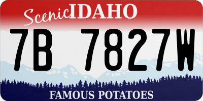 ID license plate 7B7827W
