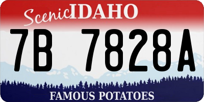 ID license plate 7B7828A