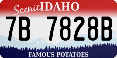 ID license plate 7B7828B