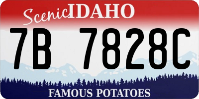 ID license plate 7B7828C