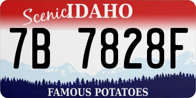 ID license plate 7B7828F