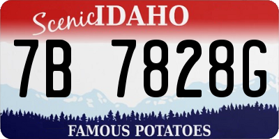 ID license plate 7B7828G