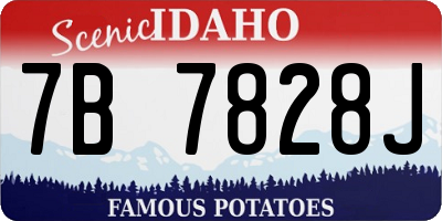 ID license plate 7B7828J