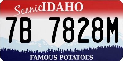 ID license plate 7B7828M