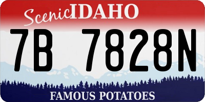 ID license plate 7B7828N