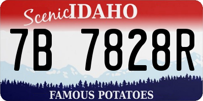 ID license plate 7B7828R
