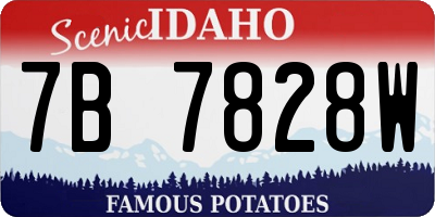 ID license plate 7B7828W