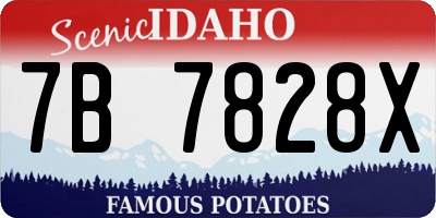 ID license plate 7B7828X