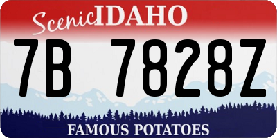 ID license plate 7B7828Z