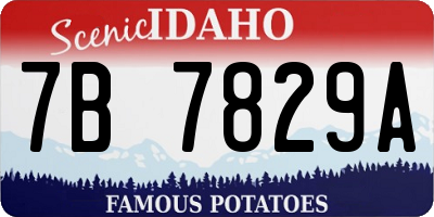 ID license plate 7B7829A