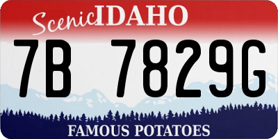 ID license plate 7B7829G