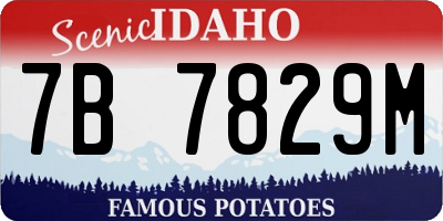 ID license plate 7B7829M