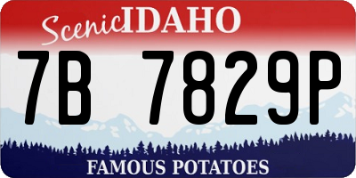 ID license plate 7B7829P