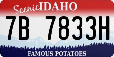 ID license plate 7B7833H