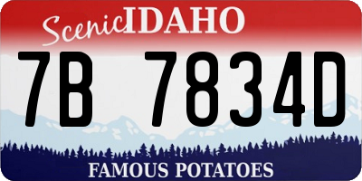 ID license plate 7B7834D