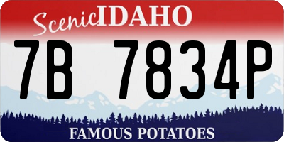 ID license plate 7B7834P