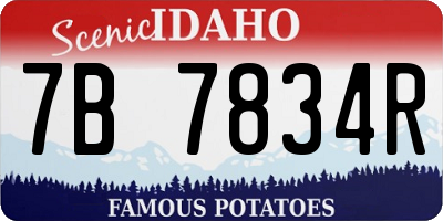 ID license plate 7B7834R