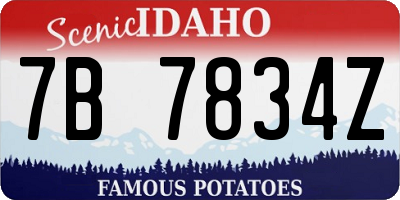 ID license plate 7B7834Z