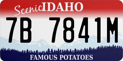 ID license plate 7B7841M
