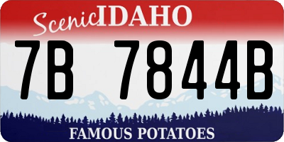 ID license plate 7B7844B