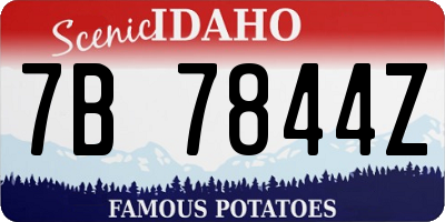 ID license plate 7B7844Z