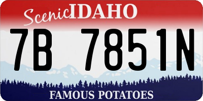 ID license plate 7B7851N