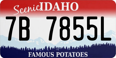 ID license plate 7B7855L