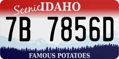 ID license plate 7B7856D