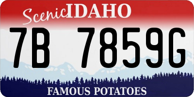 ID license plate 7B7859G