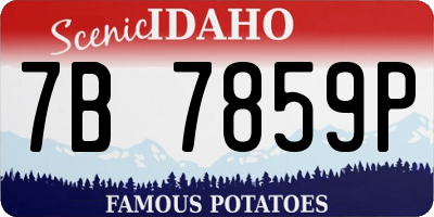 ID license plate 7B7859P