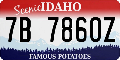 ID license plate 7B7860Z